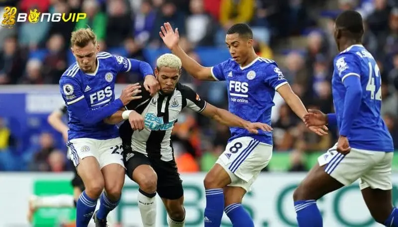 Phong độ Leicester ở soi kèo Brighton vs Leicester