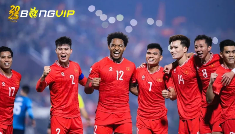 Chủ tịch VFF: 'Việt Nam không thể nhập tịch ồ ạt như Malaysia, Indonesia' Phát triển đào tạo trẻ – chiến lược dài hạn