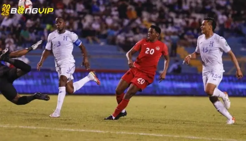 Soi kèo Canada vs Honduras 18/06 giải đấu Gold Cup Dự đoán tỷ số tại soi kèo Canada với Honduras