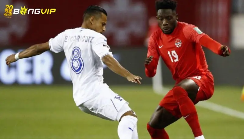 Soi kèo Canada vs Honduras 18/06 giải đấu Gold Cup Nhận định soi kèo Canada vs Honduras 18/06