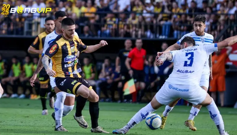 Soi kèo Novorizontino vs Cuiaba 16/06 giải Hạng 2 Brazil Dự đoán tỷ số Novorizontino vs Cuiaba: 0-1 cho đội khách