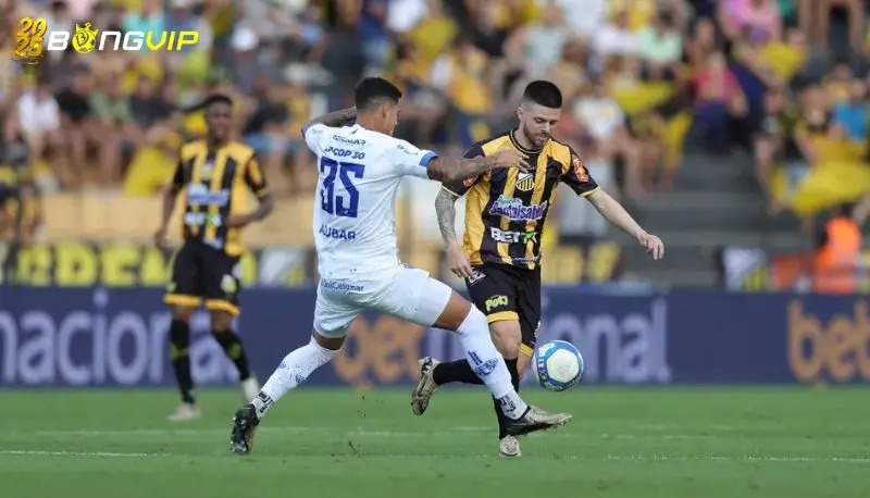 Soi kèo Novorizontino vs Cuiaba 16/06 giải Hạng 2 Brazil Nhận định phong độ trước trận tại soi kèo Novorizontino vs Cuiaba