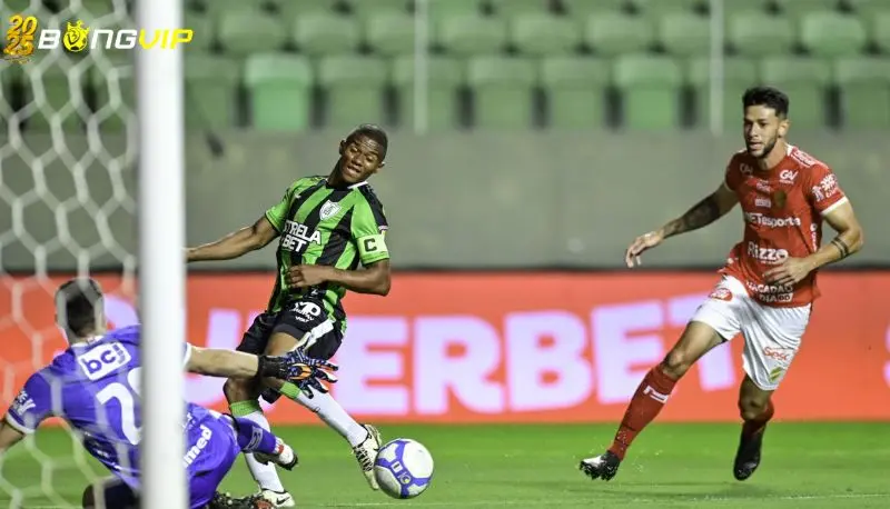 Soi kèo Vila Nova vs America MG 14/06 Hạng 2 Brazil Nhận định kèo cược chuẩn xác từ chuyên gia soi kèo uy tín